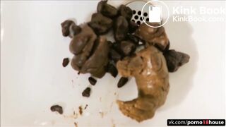 Huge turd (big mess)