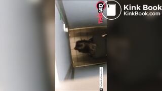 Girl pooping in public restroom - video 2