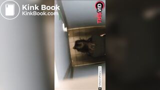 Girl pooping in public restroom - video 2