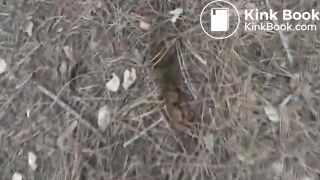 Girl pooping in the woods