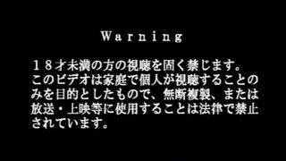 Probably Porno (...Warning) Part 2