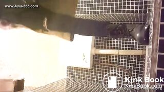 Chinese girls go to toilet 118