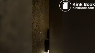 Woman shitting in public toilet - video 7