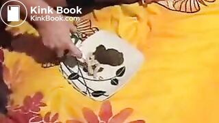 amateur shits and licks