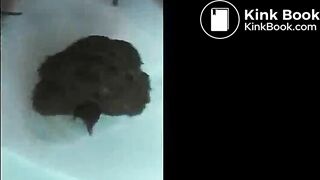 1599970724604 lady pooping