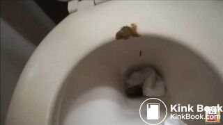 Cute Japanese Toilet Poop