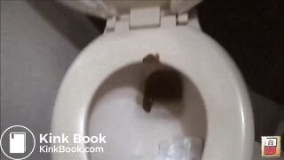 Cute Japanese Toilet Poop
