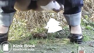 japanese public shit