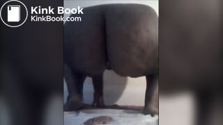 Fat girl shitting diarrhea on a cellophane