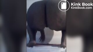 Fat girl shitting diarrhea on a cellophane