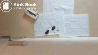 Japanese good poop 9