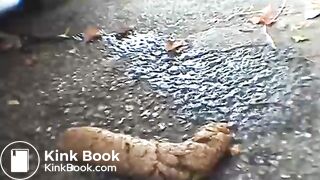 Japanese good poop 3