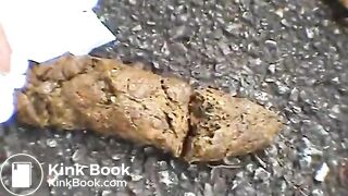 Japanese good poop 3