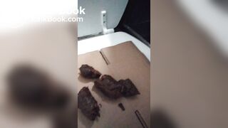 Mobile Phone Poop Quickie.Enthusiast. - video 3