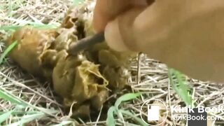 japanese pooping outdoor