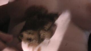 Homemade scatcouple19