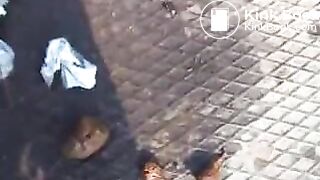 Young Cute Girl Shits