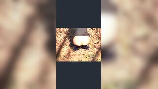 japanese pooping - video 20