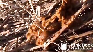 japanese pooping - video 20