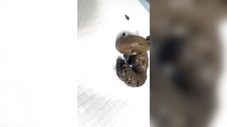 Skinny Japanese girl shit for us.