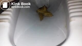 Little shit - video 13