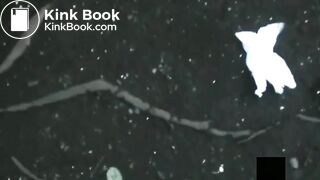 japanese pooping outdoor - video 3