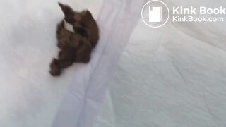 Black Beauty makes hot poopy 4