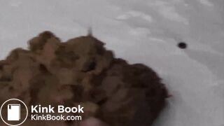 Modern Scat Stars 439 (2-Pack)