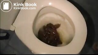 Pile of poop in toilet