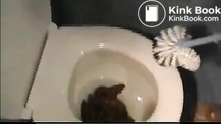 Pile of poop in toilet