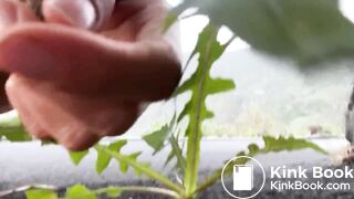 Morning Shit on public Street