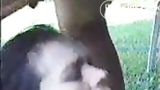 Recebendo cocô na boca