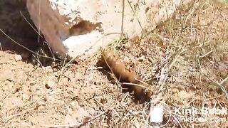 Nice girl pooping outdoor