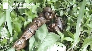 Japanese sports girl feeding poop for flies
