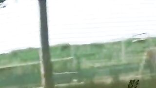 Japanese sports girl feeding poop for flies