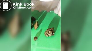 amateur pooping - video 4