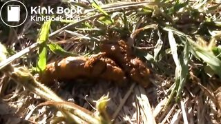 Pretty japanese girl poop on flies