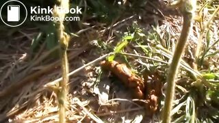 Pretty japanese girl poop on flies