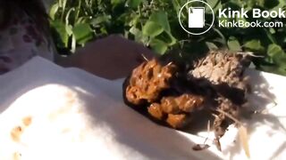Pretty japanese girl poop on flies