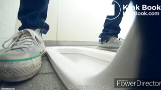 jpn toilet poop - video 2