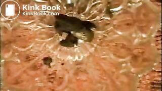 Vintage girl eats scat