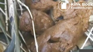 japanese pooping - video 24