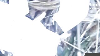 japanese pooping - video 24