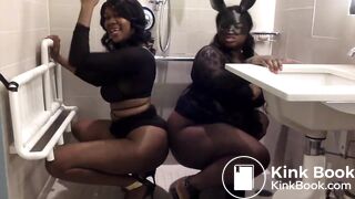 Modern Scat Stars 431 (2-Pack)