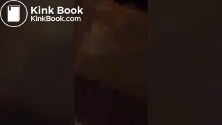 german mistress fart and plops in the toilet