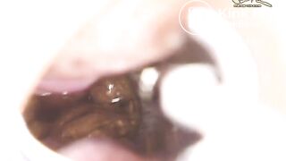 japanese vintage scat1