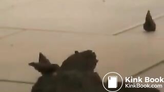 Blonde German Girl Takes a Lovely Shit on the Floor