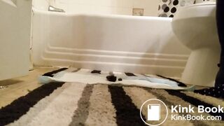 Modern Scat Stars 425 (3-Pack)