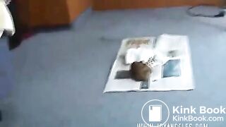 Girl poop - video 10