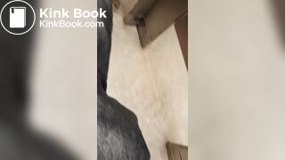 Pooping In the gordmens bathroom